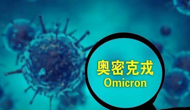 2025精准资料免费提供最新版精选解析、解释与落实、统计解答解释落实